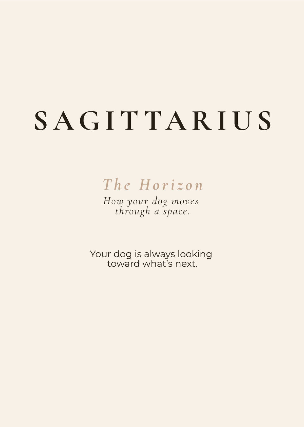 Sagittarius Archetype Set - The Horizon