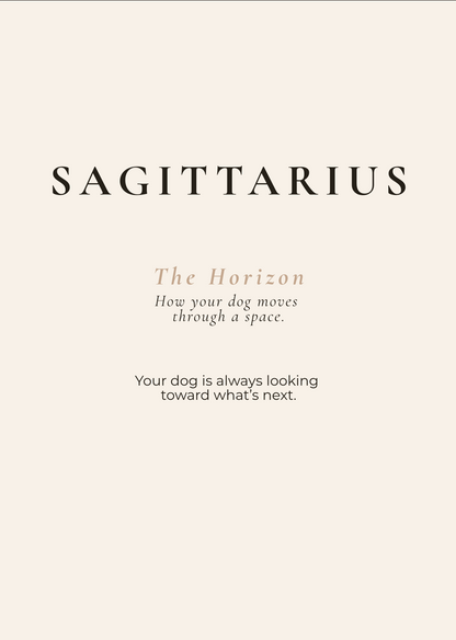 Sagittarius Archetype Set - The Horizon