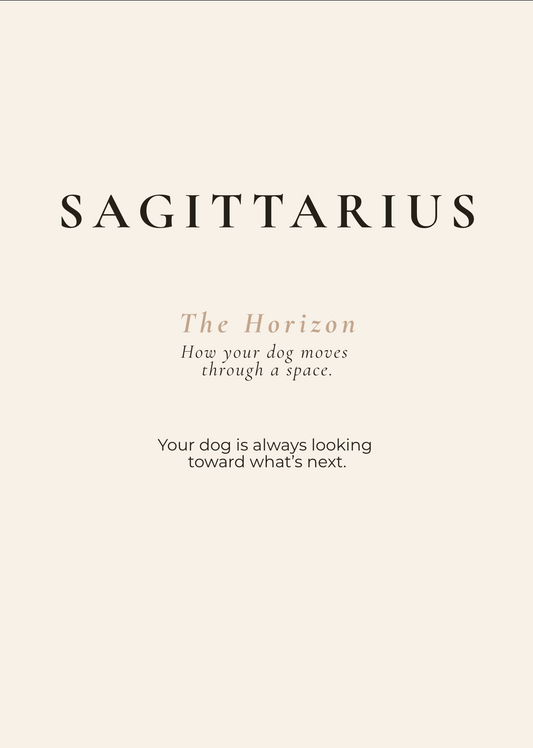 Sagittarius Archetype Set - The Horizon